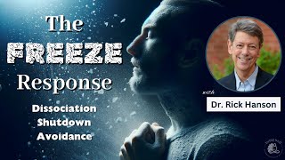 Managing the Freeze Response: Dissociation, Emotional Shutdown, and Creating Safety | Being Well