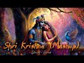 Shri Krishna Mashup Slowed + Reverb ❤🎵