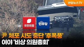 尹 체포 시도 중단 '후폭풍'…여야 '비상 의원총회' / 연합뉴스TV (YonhapnewsTV)