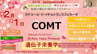 【COMT(+/-)カテコール-O-転移酵素】気分のむら、痛み、臭い、女性の疾患、甲状腺　　#エイミーヤスコプロトコル＃遺伝子栄養学＃メチレーション＃エキサイトトキシン＃マインドフルネス#栄養療法