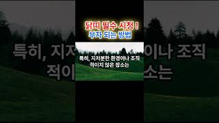 닭띠 필수 시청! 부자 되려면 이 색깔만 피하세요 - 2025년 운세 대공개! #운세  #재물운