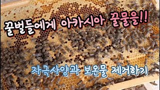 꿀벌들에게 아카시아 꿀물을!! 자극사양과 보온물 제거하기 《Feed Honey to Bees!!》