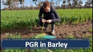 PGR Use in Barley