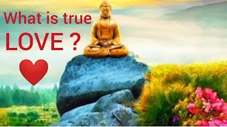 What is True Love ? | Great Buddha Quotes on Love | Love Quotes