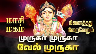 🔴 LIVE SONG| முருகா முருகா வேல் முருகா மாசி மகம் அன்று சிறப்பு பாடல் Murugan Bakthi Songs Tamil