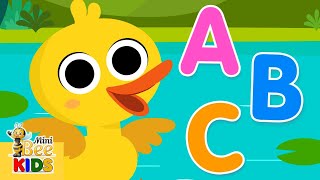 ABC Quack Song | Simply super abc song for kids by MiniBee Kids | A, B, C, quack! |