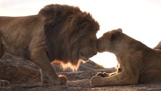 The Lion King | Protect the Pride