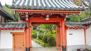 栄摂院 京都 / Eishou-in Temple Kyoto