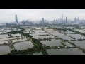 Hong Kong mega development plan to devour villages, wetlands | AFP