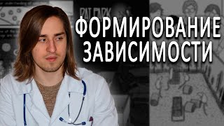 Нейробиолог про настоящий механизм формирование зависимости.