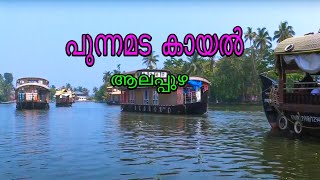 പുന്നമട കായല്‍ - Punnamada Backwater - Alappuzha - புன்னமடை உப்பங்கழி.