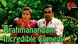 Vamsodharakudu Comedy Scenes || Brahmanandam Incredible Comedy Scene
