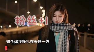 《远方的兄弟》石头演唱的一首歌曲，感情真情流露，歌曲动人心弦