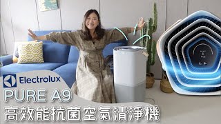 Electrolux 伊萊克斯 Pure A9 高效抗菌智能旗艦清淨機|空氣清淨機買這台！除甲醛尼古丁PM2.5病毒細菌｜