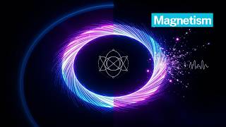 The Tiny Donut That Proved We Still Don't Understand Magnetism