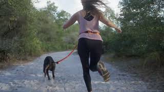 Run Your Dog With The Mighty Paw Hands-Free Leash System