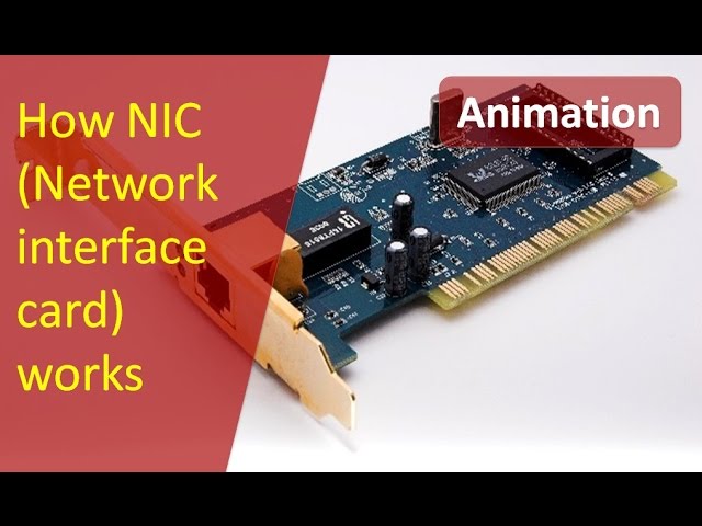 Network Interface Card