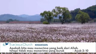 Apakah kita mau menerima yang baik dari Allah, tetapi tidak mau menerima yang buruk - Ayub 2: 10