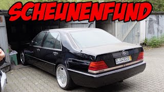 Mein Traumauto: Seltene Oldtimer S-Klasse aus Scheune gekauft! (Jahre nicht bewegt)