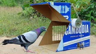 Easy Unique Pigeon Trap Make From Cardboard Box - Best Quick Bird Trap