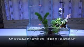 【魚菜共生時代Aquaponics Age】 農場改至台北圓山花博公園-鱘龍魚養殖、水族療癒-LINE 請加「@dpy9039o」