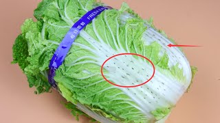 大白菜上的“黑点”到底是什么？这种白菜能吃吗？What's cabbage black spot丨DZtips Channel