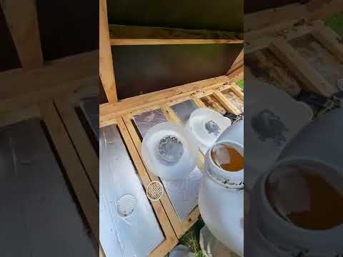 What Easy Way To Feed Bees In The Winter