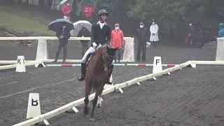 第5８回東都学生馬術大会　新人馬場馬術競技　4年　鈴木一生＆桜頂