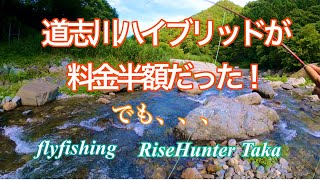 道志川ハイブリッドが料金半額だった！　【フライフィッシング】【FlyFishing】