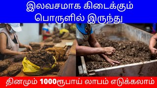 இலவசமாக கிடைக்கும் பொருளில் இருந்து | தினமும் 1000ரூ லாபம் எடுக்கலாம் Small Business Ideas | Tamil