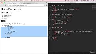 9 HTML Lists Assignment SOLUTION