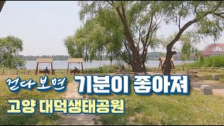 [4K] Walking Korea - Daedeok Ecological Park in Goyang