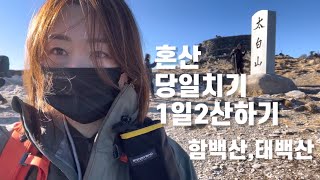 4k) 혼자 간다 - 1일 2산하는 법 - 함백산/태백산