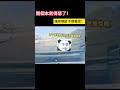 開個本就得瑟了！讓妳嘚瑟 不慣著妳！ shorts 事故 汽车 car automobile