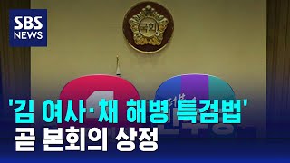 '김 여사·채 해병 특검법' 곧 본회의 상정 / SBS