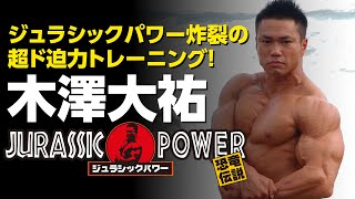 Daisuke Kizawa Jurassic Power