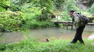 Tenkara Ebs fischt im Bach bei Regen