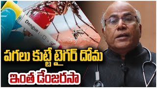 Tiger Mosquitoes are Dangerous Asian Tiger Mosquito Facts | Dr.Cl Venkat Rao #HealthUpdates