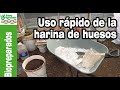 Truco para DISOLVER la HARINA de HUESOS para aportar calcio y fósforo rápidamente 🌱🌱