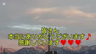 感謝動画