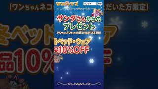 【クリスマスフェア 開催！！】ワンラブ全店｜お客様感謝イベント開催中！！ 12/1～12/25｜ワンラブグループ　ショート