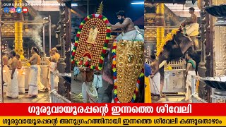 ഗുരുവായൂർ ക്ഷേത്രത്തിലെ ശീവേലിയും പ്രഭാത കാഴ്ച്ചകളും |29/07/2024 | Guruvayur Temple Morning shiveli