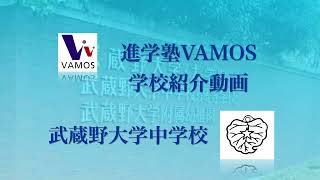 進学塾VAMOS学校紹介〜武蔵野大学中学校〜