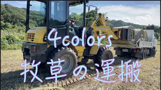 【牧草の運搬】雨が来る前に運んじゃおう！！牧草ロール運搬