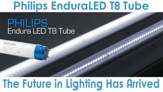 Goodmart Philips EnduraLED T8 Lamp is an excellent LED choice for Fluorescent Retrofits