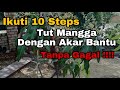 10 Steps Tut Mangga Supaya Tidak Gagal.