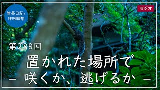 第289回「置かれた場所で – 咲くか、逃げるか –」2021/10/22【毎日の管長日記と呼吸瞑想】｜ 臨済宗円覚寺派管長 横田南嶺老師