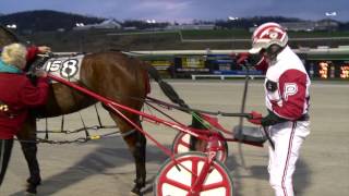 2014 Dave Palone Breaks World Harness Driving Record