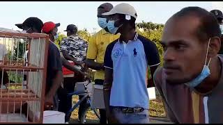 ANWELL vs JOHNDO 🔥《 TOWA TOWA BIRD COMPETITION SHOWDOWN AT BERBICE 🇬🇾 2021》 | THE WINNER IS ANWELL