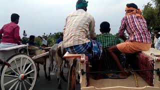 Bogampatti rackla race